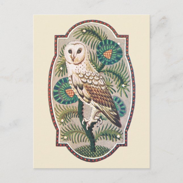 Eule Postkarte (Vorderseite)