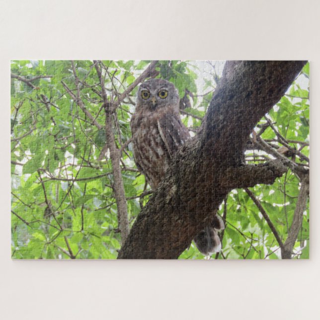 Eule Puzzle (Horizontal)