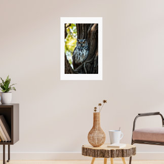 Eule ruht im Baum Poster