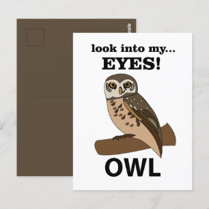 Eule Schau mir in die Augen Eule Postkarte