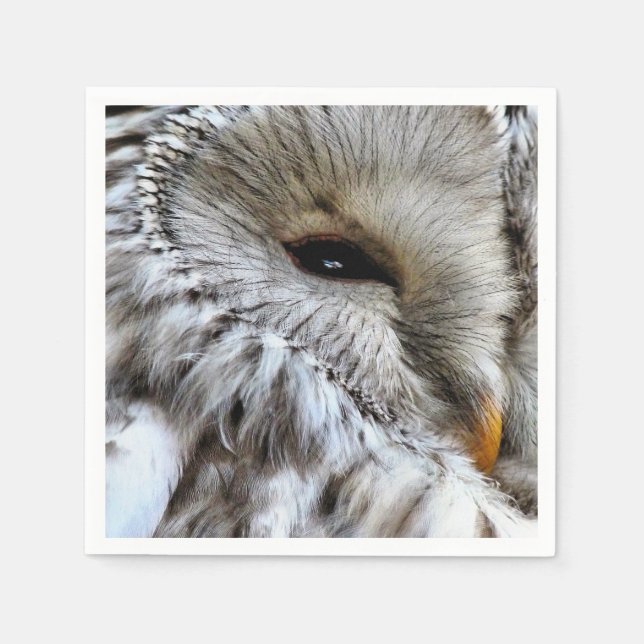 EULE SERVIETTE (Vorderseite)