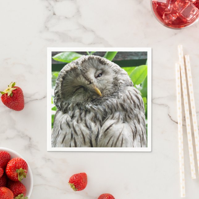 EULE SERVIETTE (Beispiel)