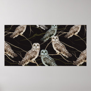 Eule sitzt auf einem Ast Poster