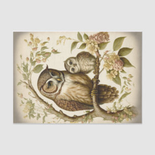 Eule und Baby Seidenpapier