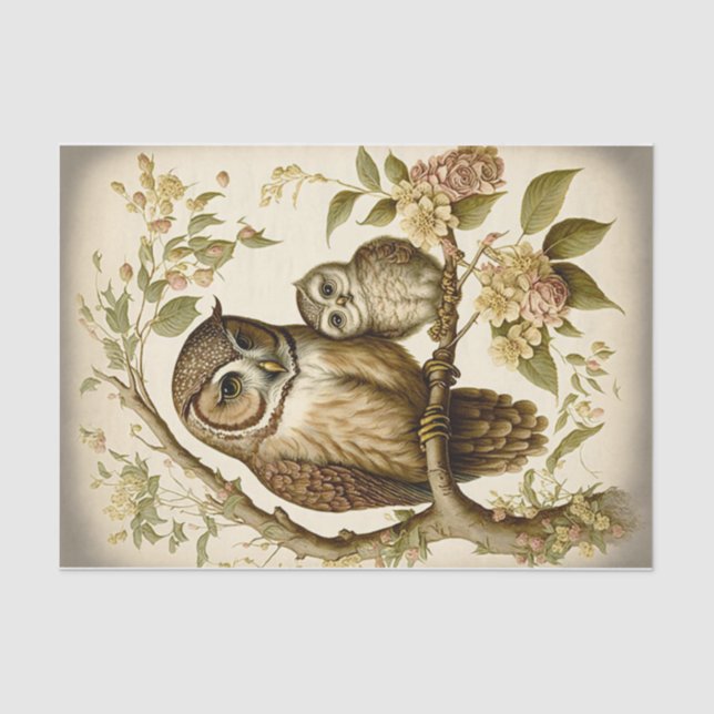 Eule und Baby Seidenpapier (Vorderseite)