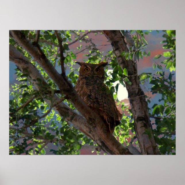 Eule und Monddruck Poster (Vorne)