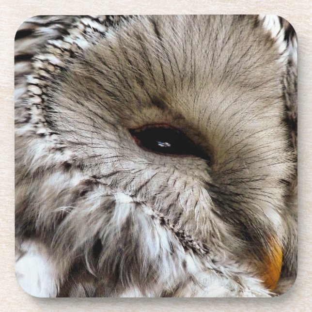 EULE UNTERSETZER (Vorderseite)