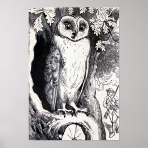 "Eule" Vintage-Illustration Poster