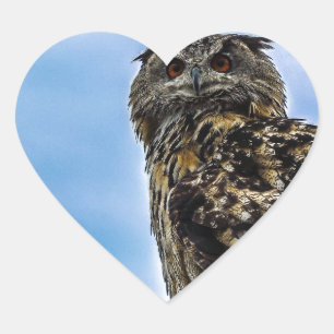 Eule Vogel Federn Tier Natur Schicksal Frieden Lie Herz-Aufkleber
