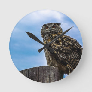 Eule Vogel Federn Tier Natur Schicksal Frieden Lie Runde Wanduhr