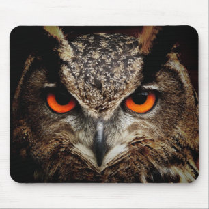 Eule, Vogel, Tier Mousepad