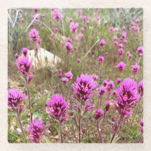 Eulen Blume rosa Blütenwiese Glasuntersetzer