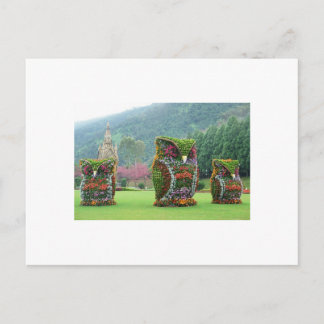 Eulen-Blumenstatuen Postkarte