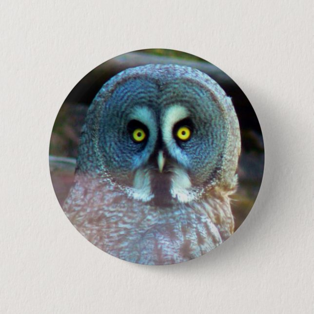 Eulen-Button Button (Vorderseite)