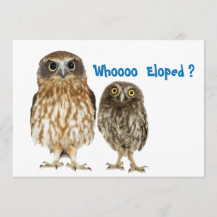 Eulen-Duo, das Eloped Ankündigung