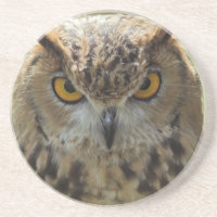 Eulen-Foto-Untersetzer