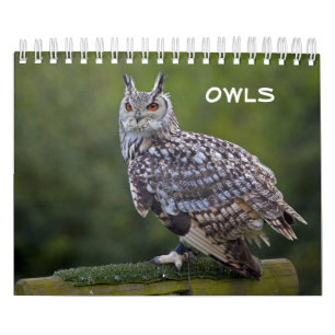 Eulen Kalender