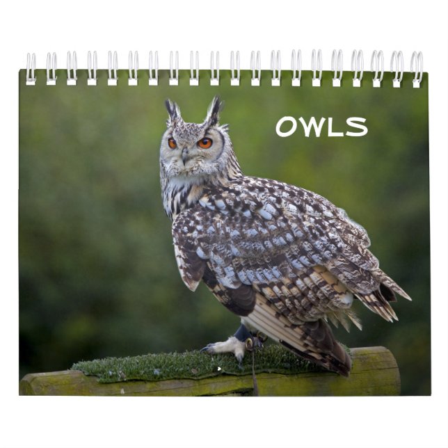 Eulen Kalender (Titelbild)