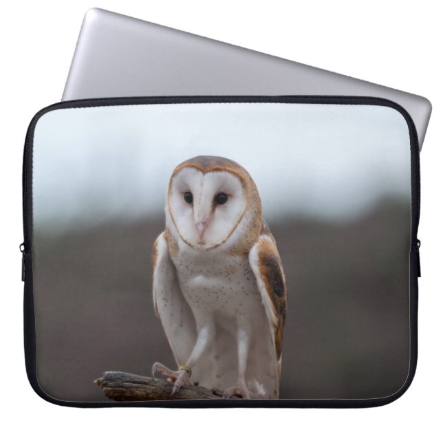 Eulen-Laptop-Hülse Laptopschutzhülle (Vorderseite)