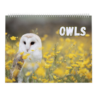 Eulen mit schöner Natur und Waldlandschaften  Kalender