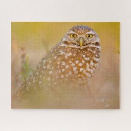 Eulen - Raubvögel. Puzzle
