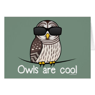 Eulen sind cool