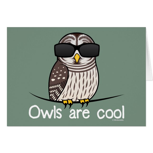 Eulen sind cool (Vorderseite (Horizontal))