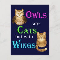 Eulen sind Katzen mit Flügeln