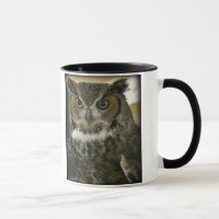 Eulen-Tasse Zwei-Bild Schablone