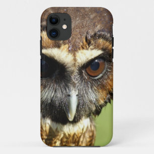 Eulen-Tiervogel-Natur-Park-Baum-Harmonie-Schicksal Case-Mate iPhone Hülle