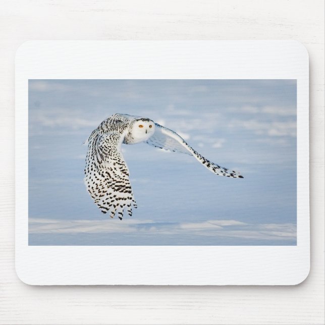 Eulen-Tiervogel-Winter-Schnee gefrorenes eiskaltes Mousepad (Vorne)