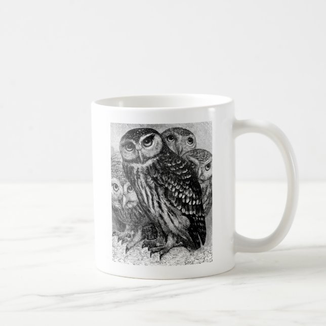 Eulen, Vintage Gravur Tasse (Rechts)