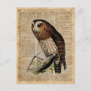 Eulen-Vintage-Illustration Zoologie-Wörterbuch-Kun Postkarte
