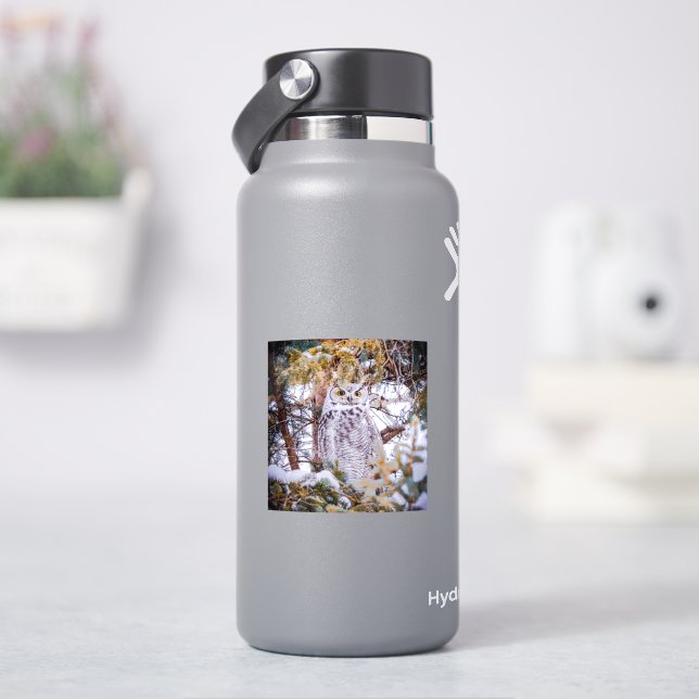 Eulenaufkleber Aufkleber (HydroFlask)