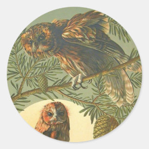 Eulenmond Art nouveau Anton Seder braun grün Runder Aufkleber