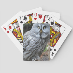 Eulenporträtfotografie Spielkarten