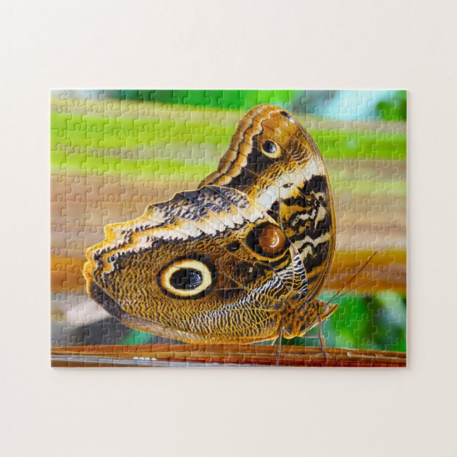 Eulenschmetterling. Puzzle (Horizontal)
