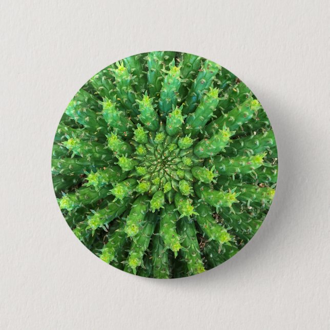 Euphorbiengummi-Medusa-Grün-KaktusSucculent Button (Vorderseite)