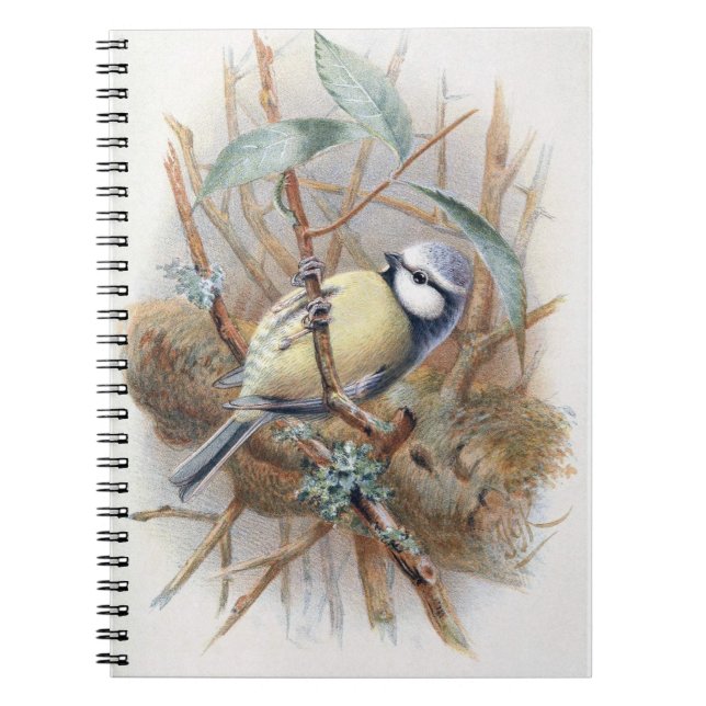Eurasian Blue Bird Note Book Notizblock (Vorderseite)