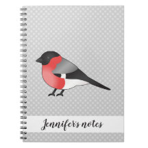 Eurasian Bullfinch Niedlicher Cartoon Bird Illustr