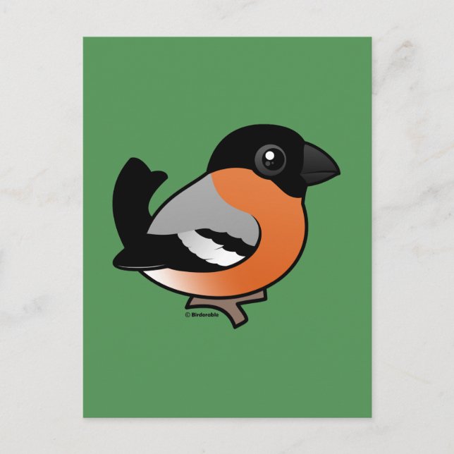 Eurasian Bullfinch Postkarte (Vorderseite)