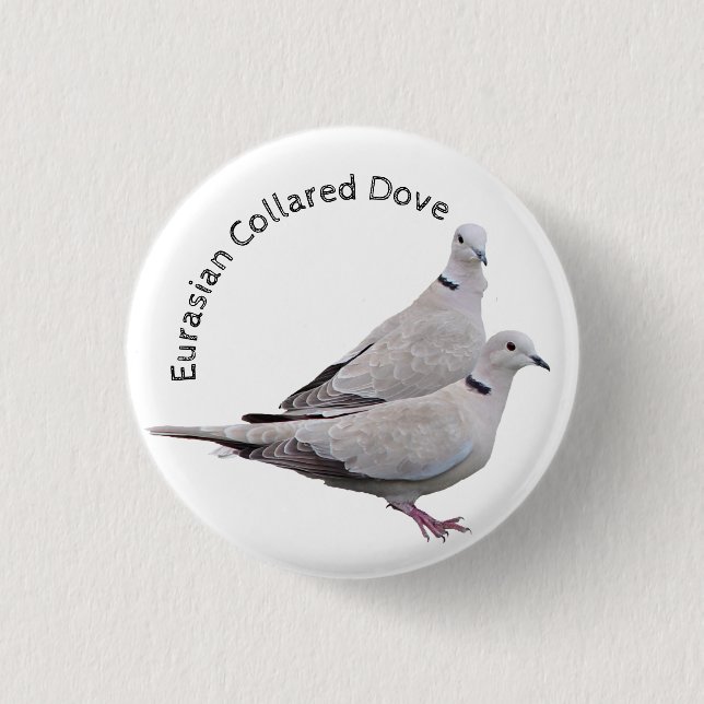 Eurasian Collared Dove Button (Vorderseite)