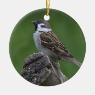 Eurasian Tree Sparrow Keramik Ornament