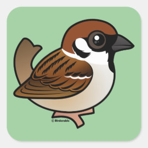 Eurasian Tree Sparrow Quadratischer Aufkleber