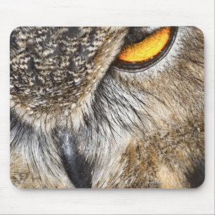 Eurasier-Eagle-Eule (Bubo Bubo) Mousepad