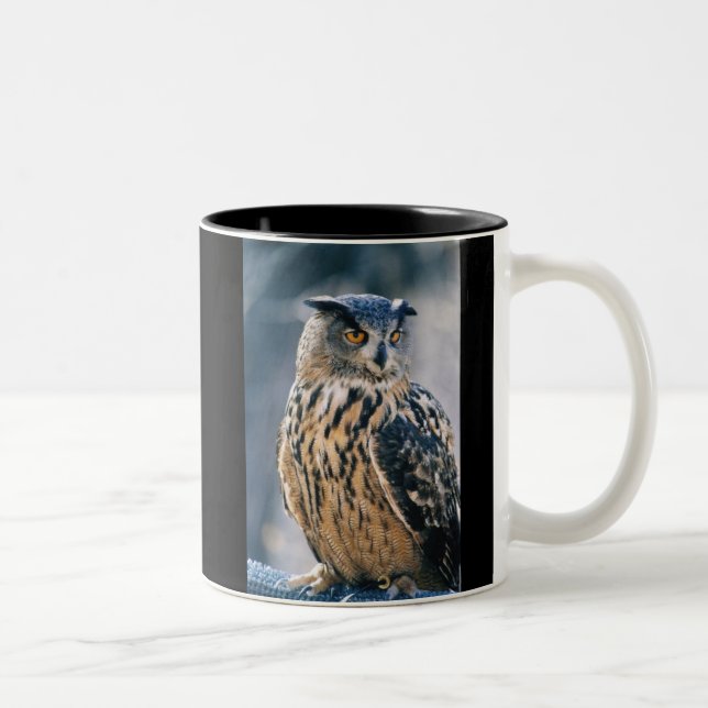 Eurasier-Eagle-Eule Zweifarbige Tasse (Rechts)