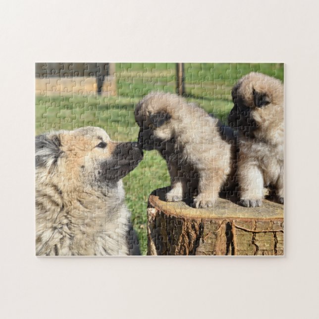Eurasier Hund und Welpen Puzzle (Horizontal)