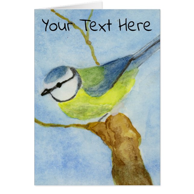 Eurasion Blue Tit (Vorne)