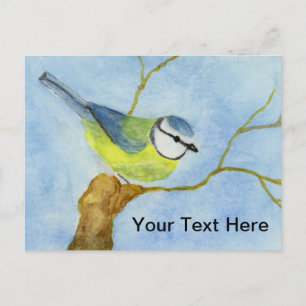 Eurasion Blue Tit Postkarte