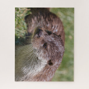 Eurasische Otter-Erholung im Sonnenschein Puzzle